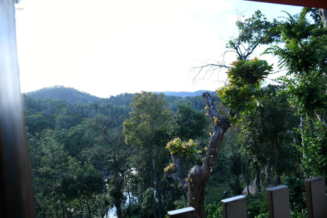 River View Guest House マディケーリ エクステリア 写真